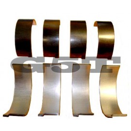 Cojinetes de biela R5 Alpine