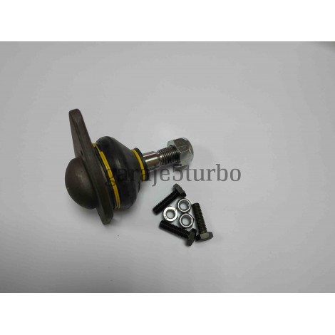 Rótula Inferior Delantera Derecha